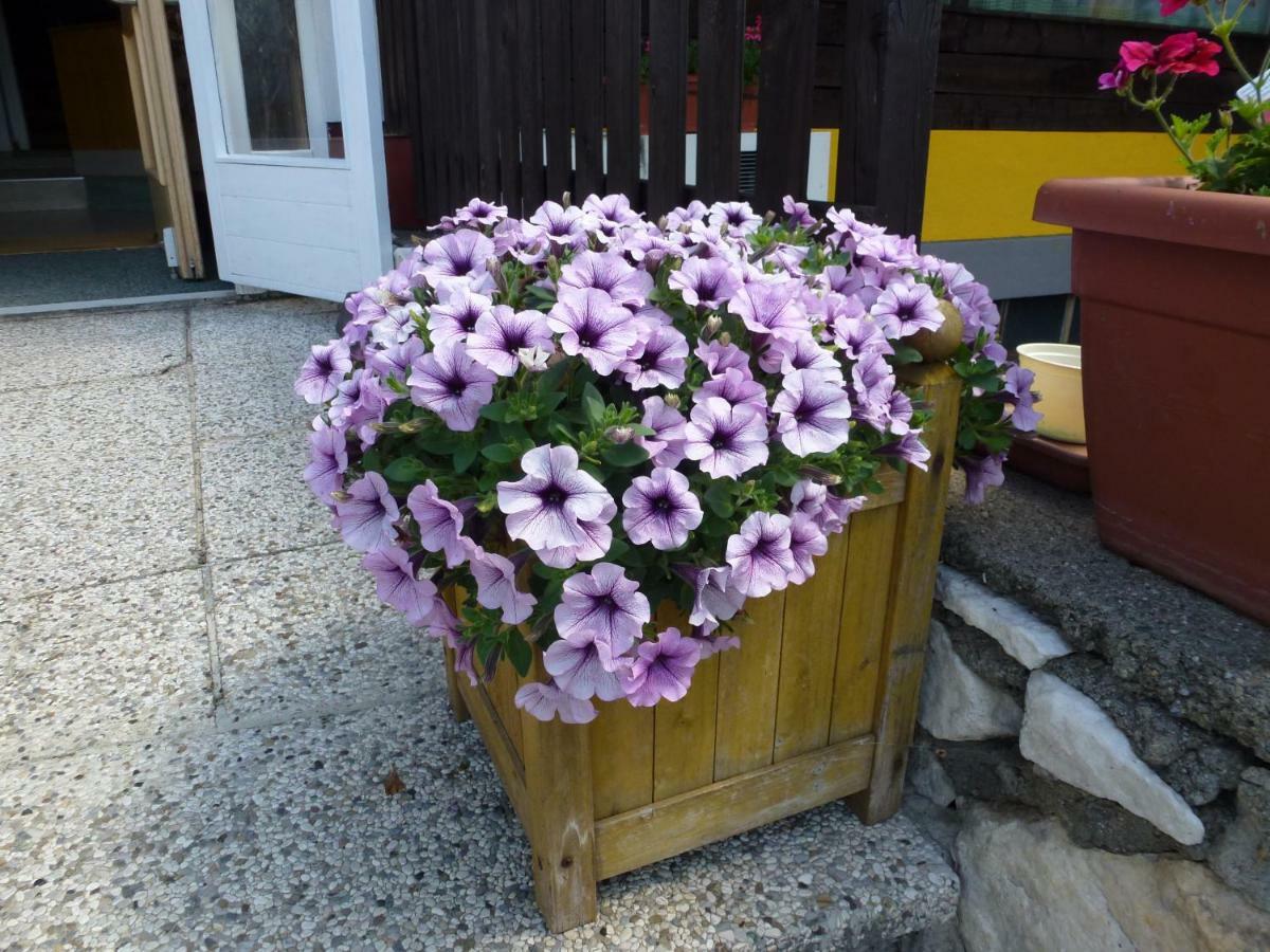 Gailtal Inn Forolach Bagian luar foto